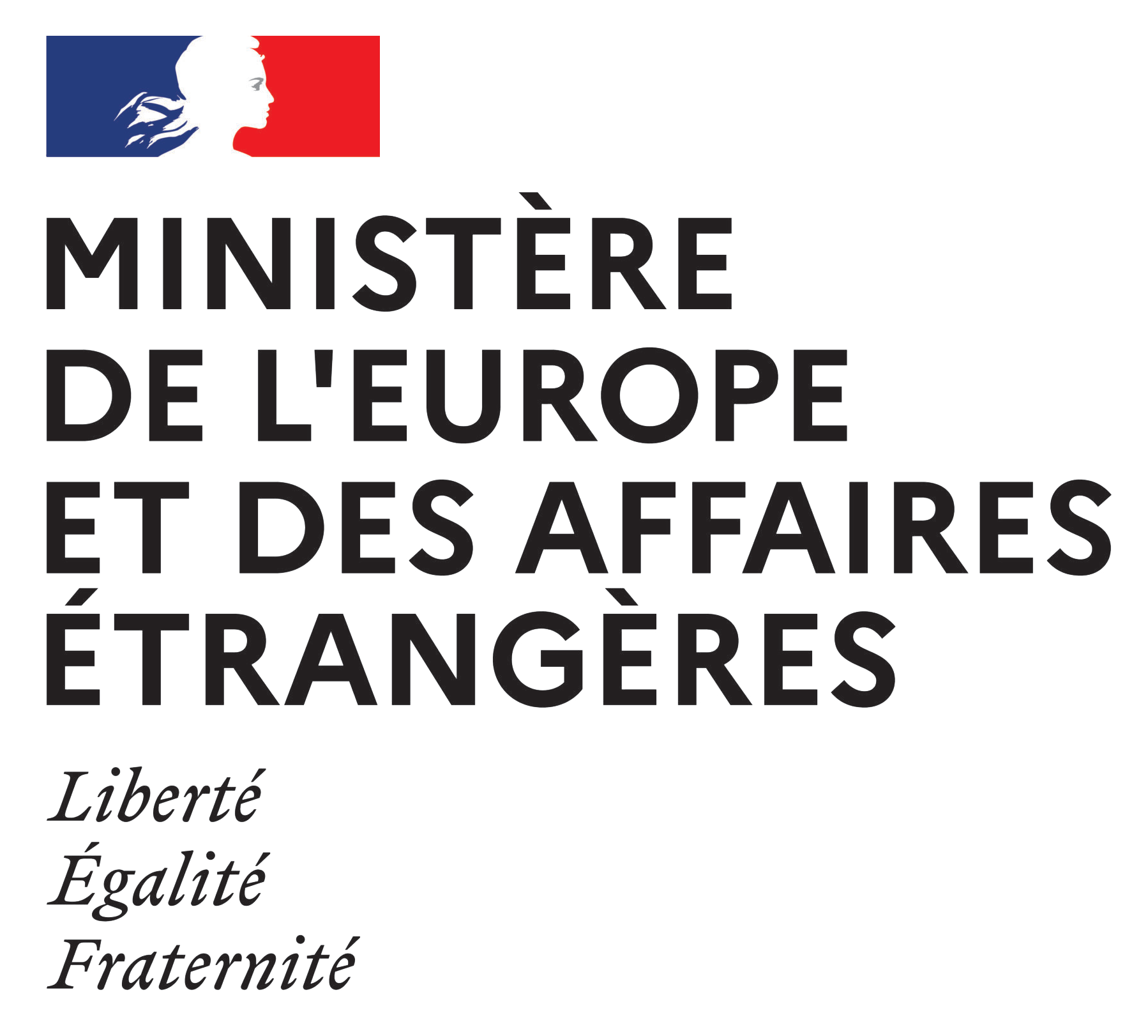 Ministère de l'Europe et des Affaires Etrangères (MEAE)