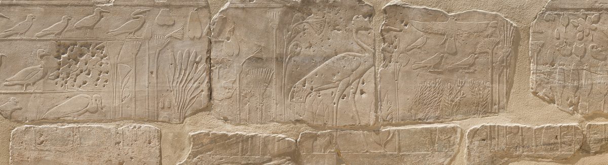 Centre Franco-Égyptien d’Étude des Temples de Karnak – CFEETK – UAR 3172 du CNRS – MoTA/SCA