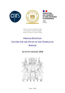 CFEETK Activity Report 2020