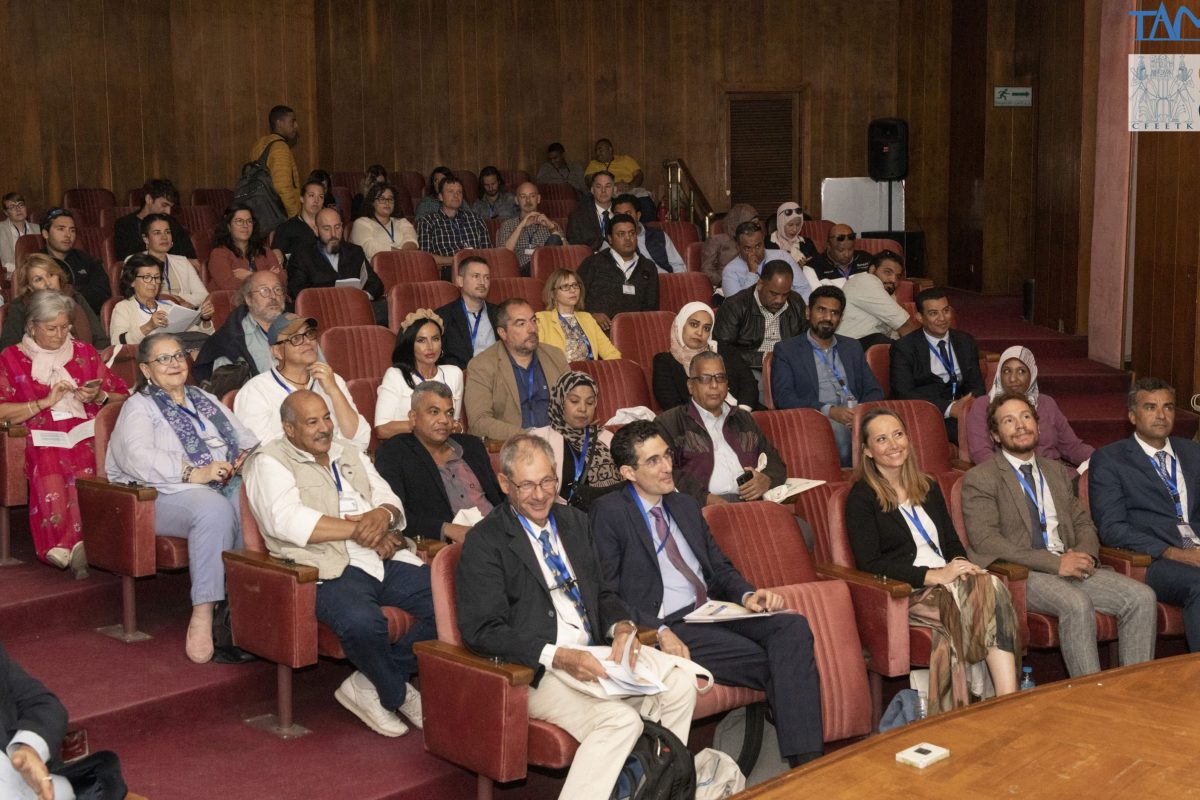 Theban Archaeology Meeting - Luxor 18-19 Nov 2022
