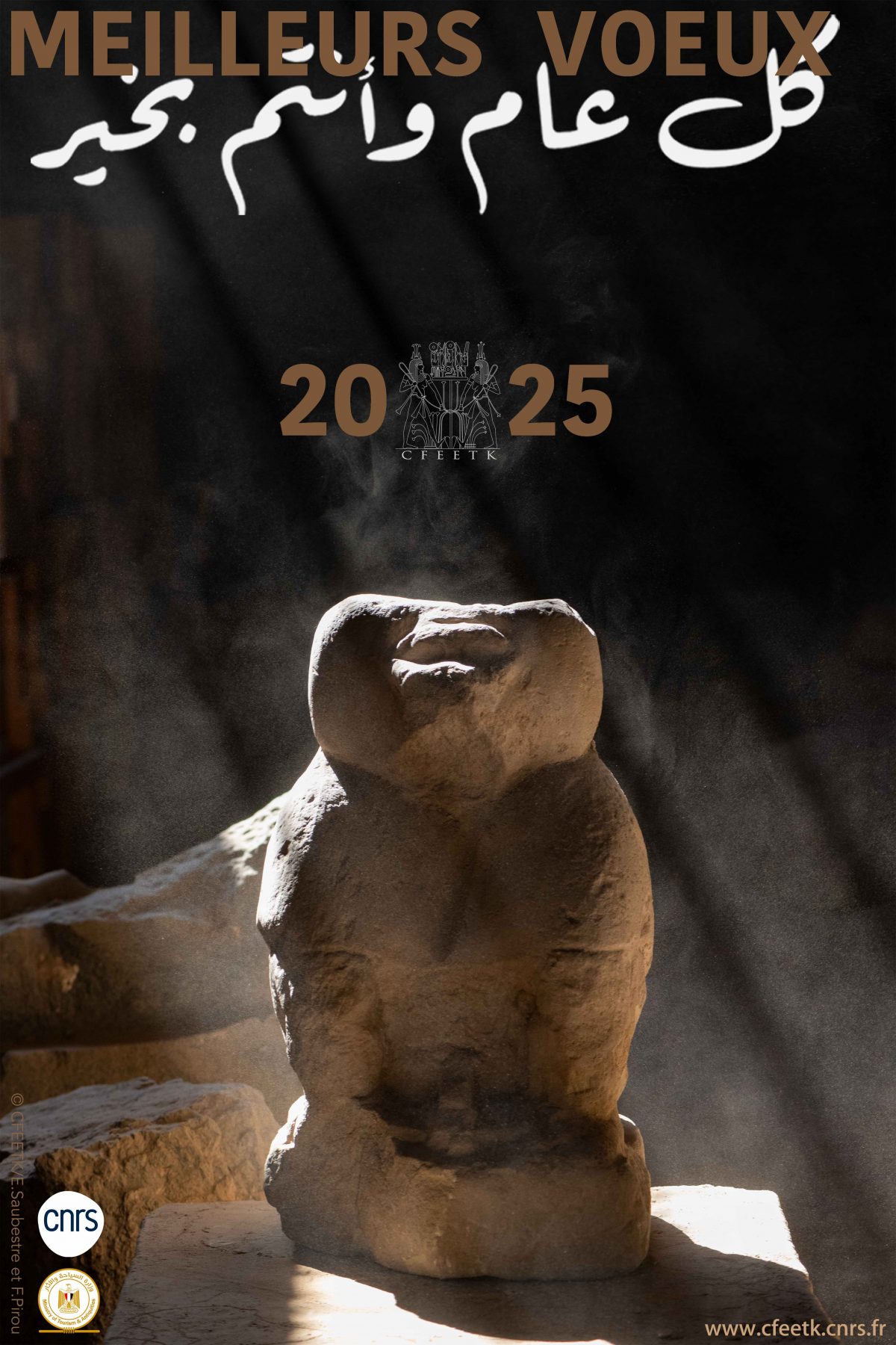 Meilleurs voeux / Best wishes 2025!